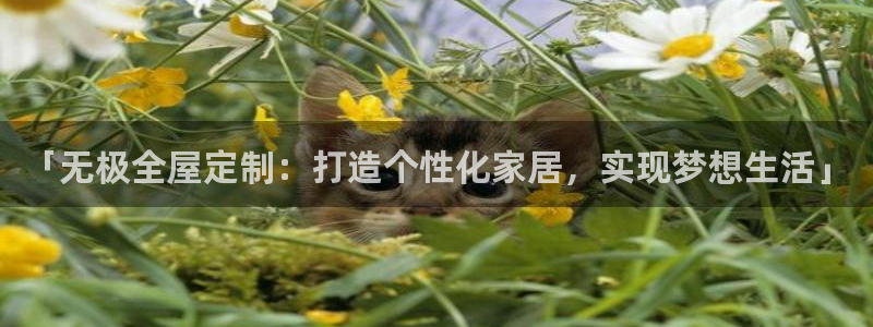 Bb电子琴和弦是哪个
