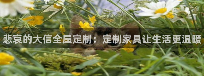 bb电子糖果哪个网站好mg官方电子平台