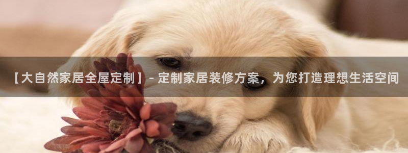 BB电子游戏钱得钱