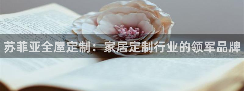 BB电子哪个平台好出款