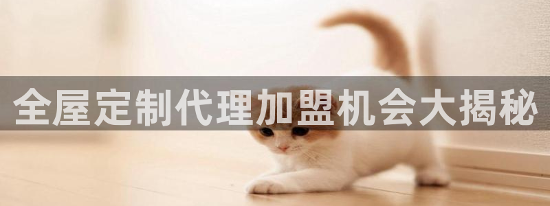 bb电子怎么英语怎么说
