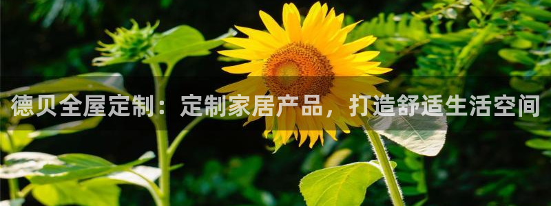 BB电子怪物派对