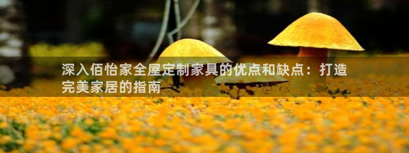 BB电子锁怎么接电