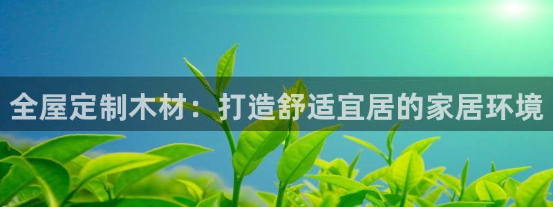 BB电子骗局