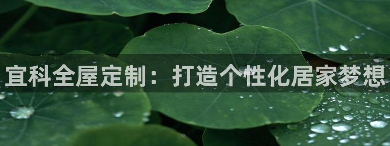 BB电子连环夺宝