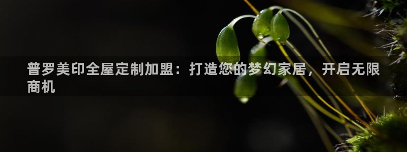 bb电子怎么样
