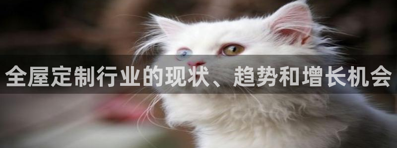 bb电子哪个平台好啊