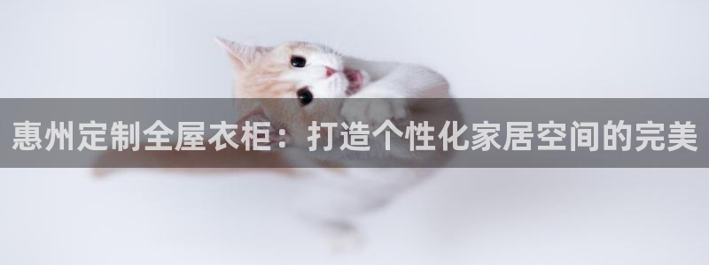 bb电子哪个平台好用一点