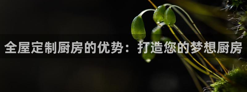 bb电子最简单设置方法