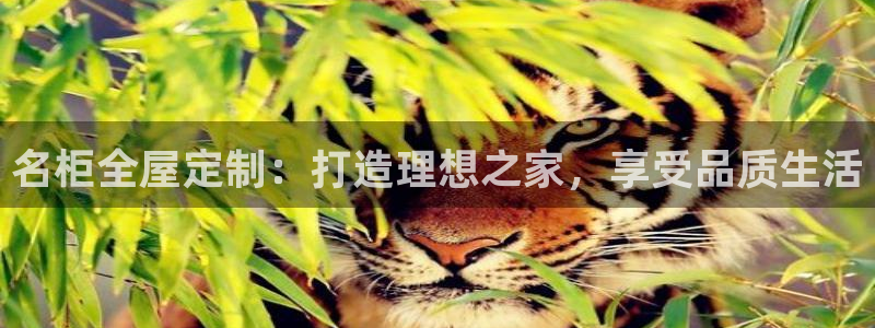 bb电子哪个平台好用