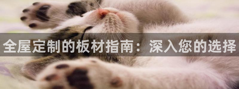 bb电子哪个平台好点