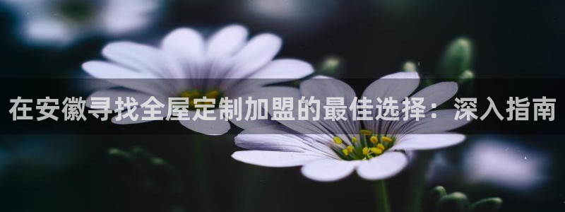 BB电子开户