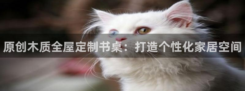 BB电子连环夺宝