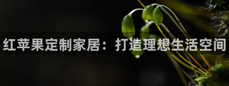 网上bb电子为什么那么假
