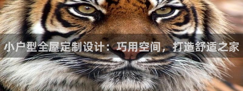 bb电子糖果彩球