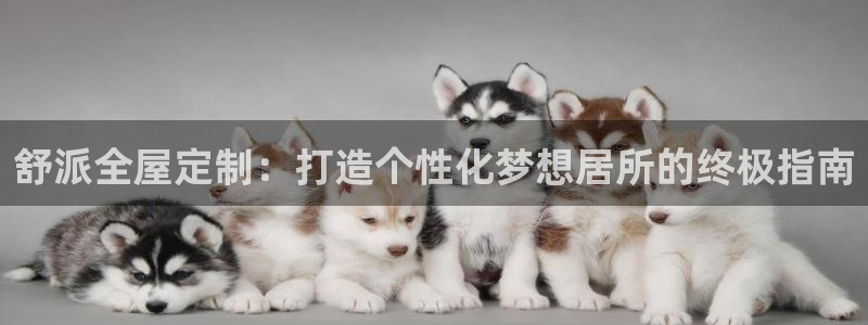 xbb电子游艺