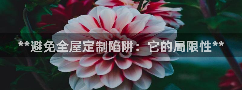 bb电子哪个平台好些