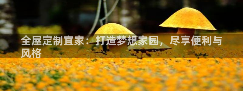bb电子官网