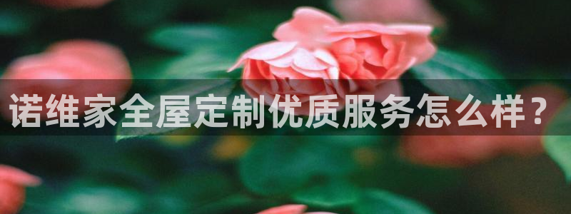 bb电子怎么赢