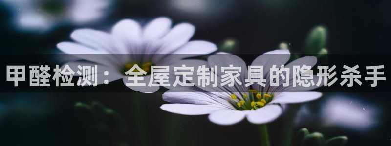 bb电子哪个平台好点