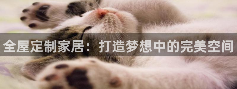 bb电子哪个平台好用一点